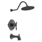 showhouse tub-shower faucets